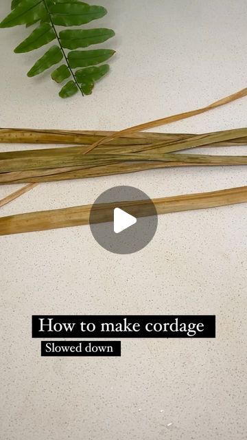 Forage_from_nature on Instagram: "For those that requested a slower version of how to make cordage, here it is.  The fibres I used to make this cordage was chasmantha floribunda.  #cordage #cordagemaking #naturalfibres #chasmanthafloribunda #naturalfibers #naturalfibrecordage #foraged_from_nature #foragedfromnature" How To Make Natural Cordage, Making Cordage From Plants, How To Make Cordage, Art With Natural Materials, Cordage Diy, Foraged Crafts, Diy Nature Crafts, Coil Weaving, Chill Hip Hop