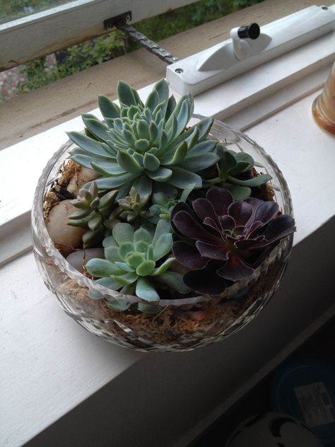 Succulent Bowls Crystal, Crystal Bowl Centerpiece Ideas, Crystal Bowl Decor Ideas Living Rooms, Repurpose Crystal Bowls, Crystal Bowls Decor Ideas, Crystal Bowl Decor Ideas, Front Door Entrance Decor, Glass Bowl Decor, House Improvement