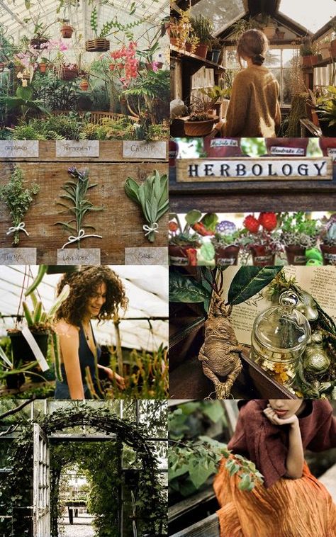 Bog Witch, House Patio, Hufflepuff Aesthetic, Harry Potter Wedding, Hogwarts Aesthetic, Harry Potter Pictures, Hogwarts School, Harry Potter Aesthetic, 수채화 그림