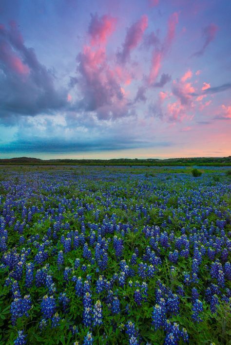 Images from Texas Hill Country near Springwood, Texas Texas Landscape, Hill Country Texas, Texas Landscape Photography, Texas Scenery, Cowboy Pool, Texas Bluebonnets Photography, Texas Hill Country Sunset, Texas Sunrise, Texas Travel Guide