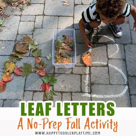 Fall Activities For Kids, Fall Activities For Toddlers, Fall Lesson Plans, November Activities, Fall Preschool Activities, Fall Lessons, Fall Activity, Fall Stem, Tree Study