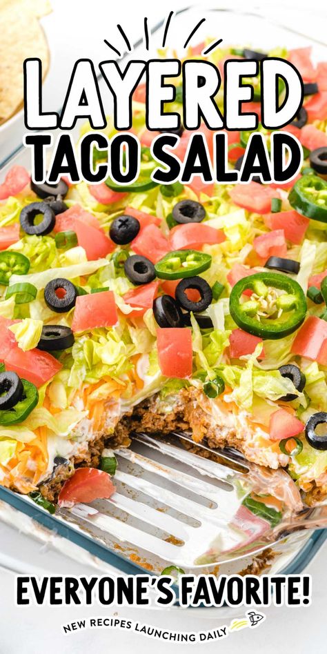 Taco Salad Appetizer, Midwestern Taco Salad, Easy Taco Salad Cups, Taco Salad Dinner, Taco Layer Bake, Seven Layer Taco Salad Recipe, Layered Chicken Taco Salad, Layered Taco Salad In A Cake Pan, Taco Salad Potluck