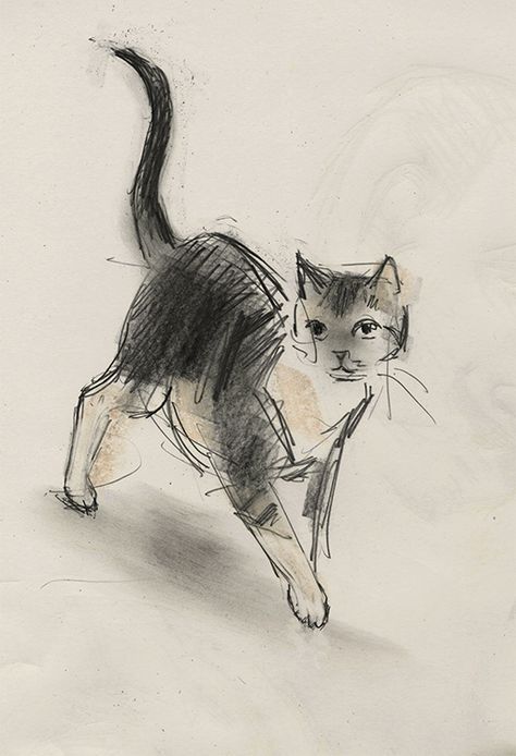 Walking Cat by Julian Williams. - http://pinterest.com/pin/505951339361404646/ Walking Cat, Image Chat, Cat Artwork, Watercolor Cat, Cats Illustration, Animal Sketches, Cat Painting, Cat Illustration, Cat Drawing