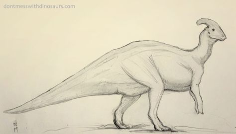 Parasaurolophus Parasaurolophus Art, Sketch Reference, Dinosaur Drawing, Prehistoric Animals, T Rex, Dinosaurs, Painting Ideas, Sketch, Humanoid Sketch