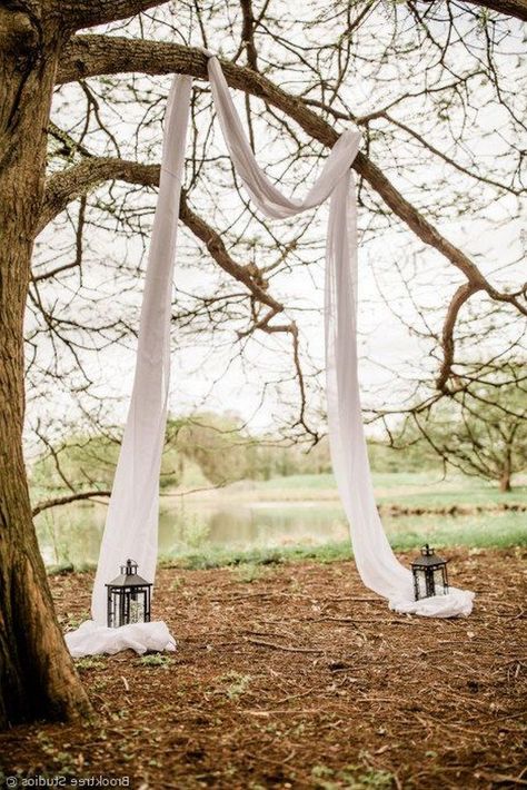 simple tree wedding backdrop with lanterns #wedding #weddingideas #weddingarches #outdoorwedding Simple Arbor Wedding, Birch Wedding Arch, Draped Cloth, Wedding Organisation, Idea For Wedding, Wedding Arbors, Wedding Ceremony Ideas, Secret Wedding, Wedding Ceremony Arch