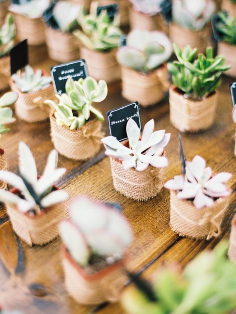 Potted succulents and cacti make perfect takeaways. Pop in staked tags to transform them into live place cards. Succulent Wedding Favors, Creative Wedding Favors, Wedding Favors And Gifts, Best Wedding Favors, Succulent Gifts, Wedding Favors Cheap, Succulent Wedding, Mini Succulents, Wedding Gifts For Guests