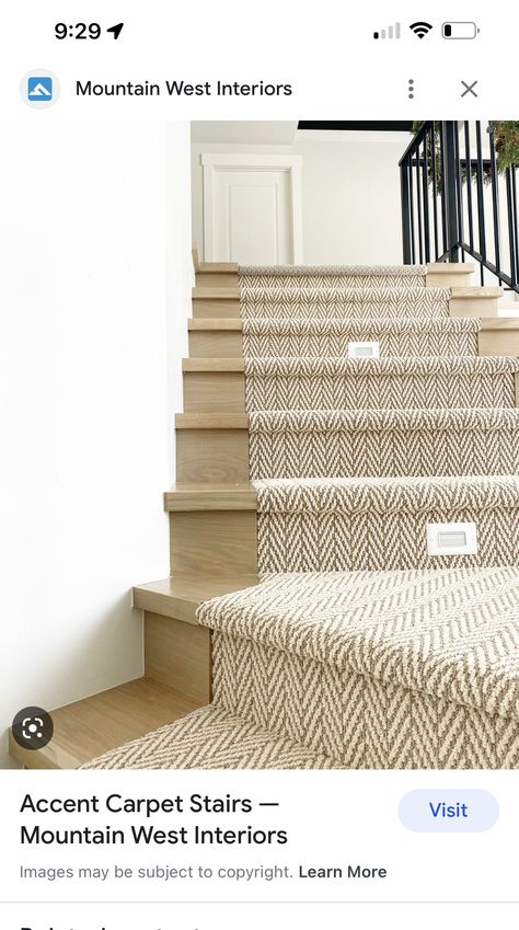 Carpeted Stairs With Wood End Caps, Stair Runner Wood Stairs, Full Carpet Stairs, Staircase Caps, Tile Shower And Tub, Stair Caps, Paint Stairs, Under Stairs Ideas, Black Stair Railing