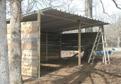 Freestand Awning Horse Run In Shelter, Pasture Shelter, Diy She Shed, Sheep Barn, Generator Shed, 8x12 Shed Plans, Horse Shed, Goat Shelter, Hay Storage