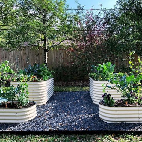 Corrugated Garden Beds, Vegetable Trellis, Metal Garden Beds, Metal Raised Garden Beds, Vegetable Garden Raised Beds, Garden Labels, Vegetable Garden Diy, Garden Veggies, Veg Garden