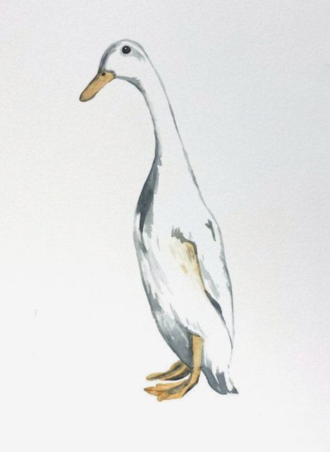 Duck Sketch, Duck Watercolor, Watercolor Duck, Duck Painting, Loose Watercolor Paintings, Duck Illustration, Runner Ducks, Duck Drawing, Animal Nursery Art