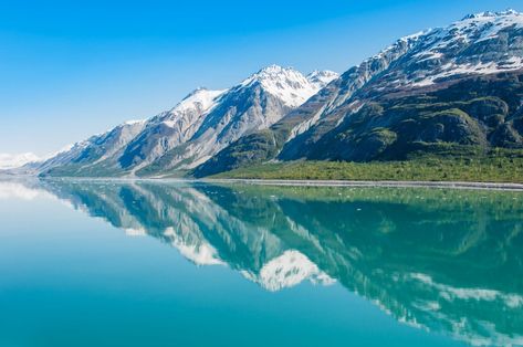 Alaska Holidays: A 7 Day Cruise Itinerary On The Norwegian Joy Alaska Summer, Travel Quiz, Alaska Wildlife, Alaska Fishing, Visit Alaska, Glacier Bay National Park, Alaska Vacation, Alaskan Cruise, Glacier Bay