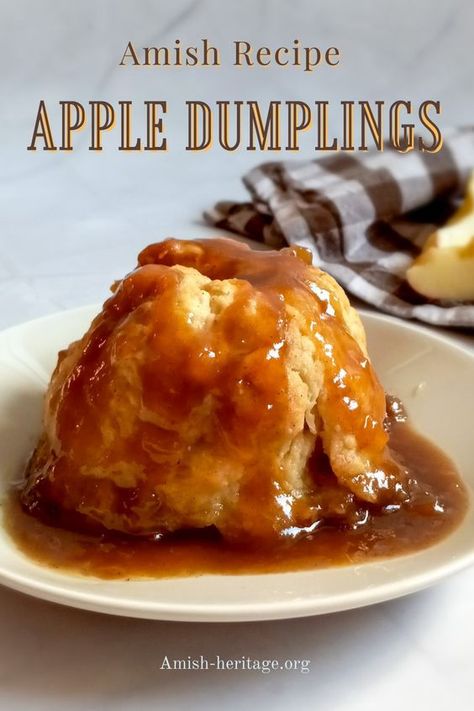 Apple Dumplings With Bisquick, Keto Friendly Apple Dumplings, Best Apple Dumplings Ever, Red Hot Apple Dumplings, Apple Dumplings With Caramel Sauce, Apple Dumplings For Two, Pa Dutch Apple Dumplings, Recipe For Apple Dumplings, Apple Dumpling With Vanilla Sauce