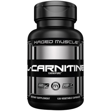 Searching for L-Carnitine (120 Vegetarian Capsules) by Kaged Muscle? Shop now for free shipping on orders over $25. L Carnitine, Workout Days, Medical Prescription, Muscle Groups, Medical Care, Medical Conditions, Post Workout, Medical Professionals, Fatty Acids