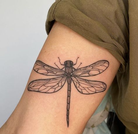 Dragonfly Tattoos, Flying Tattoo, Dragonfly Tattoo Design, Autumn Chic, Small Forearm Tattoos, Insect Tattoo, Bug Tattoo, Dragonfly Tattoo, Sweater Autumn