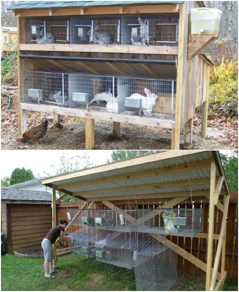 10 Free DIY Rabbit Hutch Plans That Make Raising Bunnies Easy #diy #rabbithutch #rabbitcages #cages #homesteading Rabbit Runs Outdoor Diy, Pallet Rabbit Cage, Rabbit Shelter Outdoor Diy, Meat Rabbit Hutch Outdoor, Rabbit Hutch Plans Outdoor, Homemade Rabbit Cage Outdoor, Easy Diy Rabbit Cage Outdoor, Simple Rabbit Hutch, Rabbit Hutches Outdoor