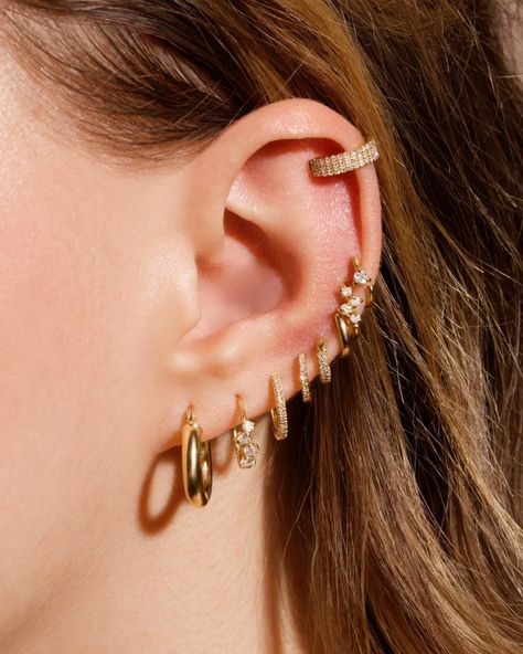 Hoop it up 👏 Curated Ears, Piercing Art, Pretty Piercings, Body Jewerly, Stone And Strand, Piercing Inspo, Cool Ear Piercings, Ear Parts, Ear Piercing