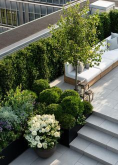 Terrace Garden Ideas, Roof Garden Design, Terrace Garden Design, Rooftop Terrace Design, Rooftop Design, Rooftop Patio, Terrace Design, Rooftop Garden, Roof Garden