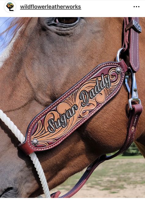 Custom Horse Tack, Ranch Horse Tack, Horse Tack Sets Barrel Racing, Custom Leather Horse Tack, Western Horse Tack Sets Barrel Racing, Horse In Western Tack, Tooled Leather Barrel Racer, Western Riding Tack, Barrel Racing Tack Sets