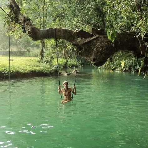 Alam Yang Indah, Summer Dream, Nature Aesthetic, Pretty Places, Travel Aesthetic, Summer Aesthetic, Dream Vacations, Laos, A Tree