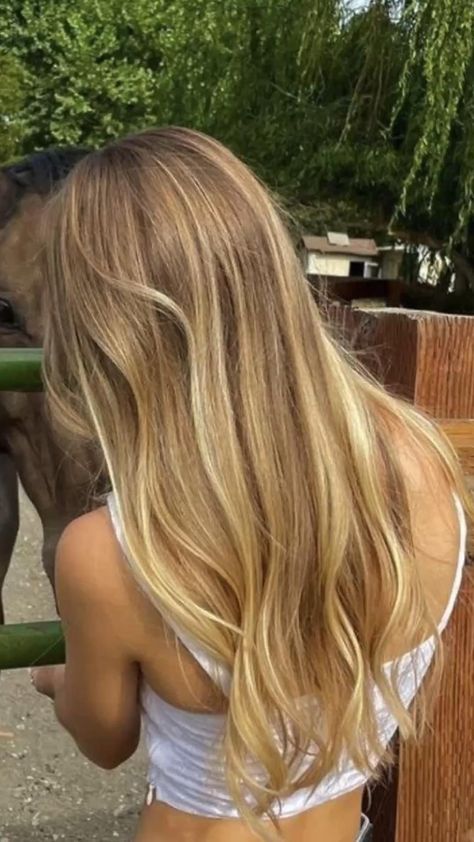 Honey Blonde Highlights Balayage, Highlights In Sandy Blonde Hair, Baliage Blonde Highlights, Blond Hair With Highlights Summer, Honey Blonde Full Balayage, Hilighted Hair Blonde, Natural Buttery Blonde Hair, Partial Highlights Honey Blonde, Sun Kissed Blonde Highlights