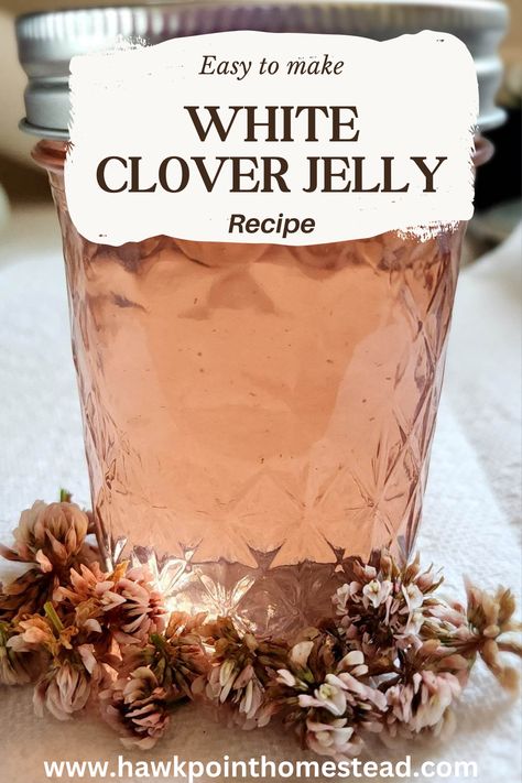 This recipe for how to make white clover blossom jelly turned out to be my favorite edible flower recipe. First of all it is the easiest, without having to pull flower petals or separate from little stems. Plus white clover blossoms are abundant for a long period of time and the clovers turned into a beautiful pink floral jelly and it is such a delicious jelly! Clover Jelly Recipe, Clover Jelly, Apple Blossom Recipe, Floral Jelly, Clover Blossom, Flower Recipe, Edible Flowers Recipes, Canning Ideas, Home Canning Recipes