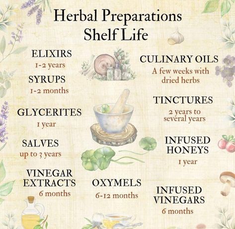 Herbal Apothecary Recipes, Herbal Witch, Herbal Education, Medicinal Herbs Garden, Ayurvedic Healing, Herbal Recipes, Magical Herbs, Herbal Apothecary, Herbal Healing