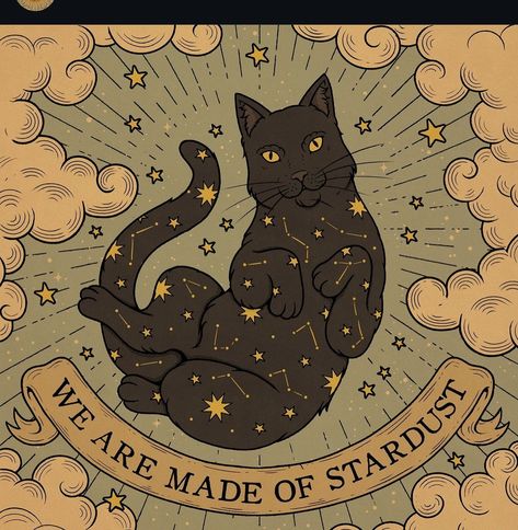 We are all made of stardust ✨💫 #tarot #astrology #cat #illustration #astrologyposts #horoscope #zodiac #blackcat #constellation #halloween #fallvibes Kitty Tattoos, Astrology Aesthetic, Made Of Stardust, Cosmic Cat, Animal Tarot, Zodiac Cards, Tarot Astrology, Crazy Cat, Warrior Cats