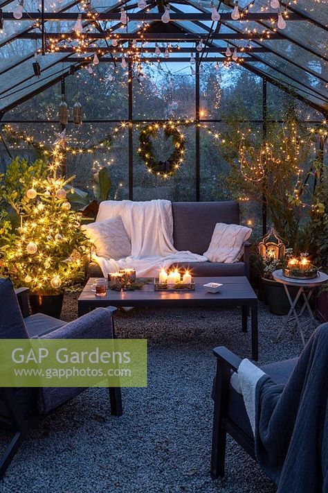 Inside Greenhouse, Outdoor Living Patios, Conservatory Greenhouse, Beautiful Outdoor Living Spaces, Backyard Plan, Greenhouse Interiors, Christmas Plants, Backyard Greenhouse, Have Inspiration