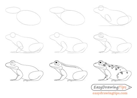 How to Draw a Frog Step by Step Tutorial - EasyDrawingTips Frog Tutorial Drawing, How To Draw A Frog Step By Step, Frog Drawing Step By Step, How To Draw A Frog, Chalk Animals, Drawing A Frog, Frog Draw, Draw A Frog, Frog Sketch