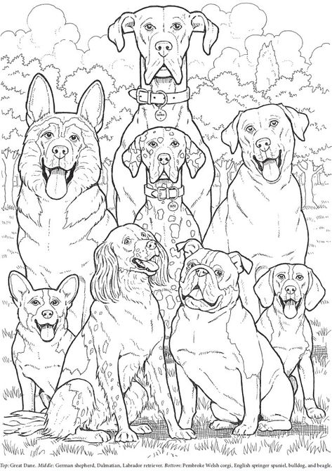 Welcome to Dover Publications Dover Coloring Pages, Dover Publications Coloring, Dog Coloring Book, Dog Embroidery Designs, Dover Publications, Dog Coloring Page, Cute Coloring Pages, Christmas Coloring Pages, Activity Sheets