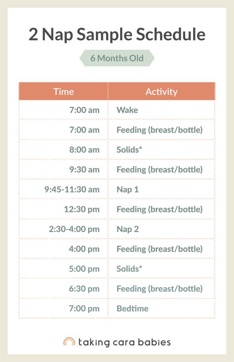 6 Month Sleep Schedule, 10 Month Old Schedule, 6 Month Old Schedule, 9 Month Old Schedule, 6 Month Old Sleep, Taking Cara Babies, Wake Windows, Sleep Regressions, Uppfostra Barn