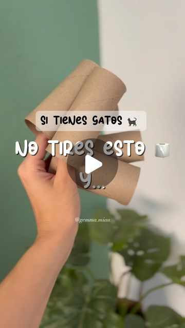 𝑮𝒆𝒎𝒎𝒂* 𝘊𝘢𝘵𝘮𝘰𝘮 𝘭𝘪𝘧𝘦𝘴𝘵𝘺𝘭𝘦 🐈 on Instagram: "🧻 DIY con rollos de papel 🐈  Todos los gatos adoran el papel de wc, eso es así. Así que os traigo un DIY súper facilito con el que tendréis a los michis entretenidos por mucho tiempo.  En casa, de vez en cuando, retiramos comederos y utilizamos comederos interactivos para estimular sus instintos cazadores🐈 además estimulamos su cerebro 🧠… ¿te animas a probar?  Nosotros hemos usado el pienso preferido de las gordis sin cereales, de @ownat_alimentaciondeverdad y de verdad, es una pasada.  * Recordad tener un pienso de distinto sabor para los juegos, así evitaremos problemas de sobrepeso.🤭 . . . : . . #diy #dıy #diycrafts #diyhomedecor #diyprojects #manualidades #manualidad #manualitats #gatos #gatoslindos #gatosespaña #truco Cat Diy Crafts, Diy D, Instagram Diy, Cat Diy, On Instagram