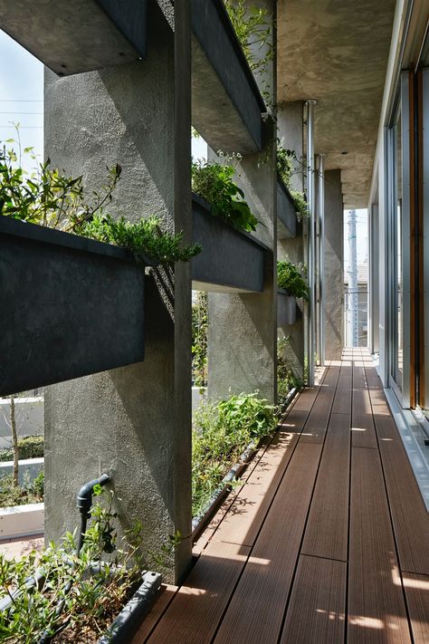 Idea 1840853: House in Yatomigaoka by TSC architects in Japan Green House Exterior Plants, Green Buildings Architecture, Urban Infill Architecture, Green Space Architecture, Green Building Architecture, Green Building Design, Fasad Design, Living Architecture, Green House Design