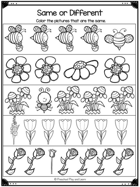 🌼 FREE Printable Flower Worksheets for Preschool and Kindergarten Nature Worksheets For Preschool, Flower Worksheets Preschool, Spring Worksheets Preschool, Flower Science, Tracing Letters Preschool, Spring Worksheets, Teacher Diy, Preschool Worksheets Free Printables, Spring Preschool Activities