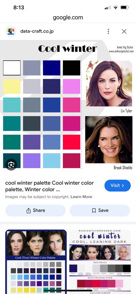 Cold Winter Color Palette, Winter Color Pallet, True Winter Color Palette, Winter Color Palette, True Winter, Winter Color, Winter Colors, Color Pallets, Cold Winter