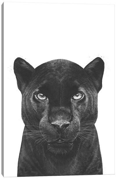 Black & White Drawings & Illustrations Art Prints | iCanvas Black Panther Aesthetic, Black Panther Drawing, Black Panther Tattoo, Panther Tattoo, Panther Art, Black Panther Art, Black And White Drawing, Black Panther, Big Cats