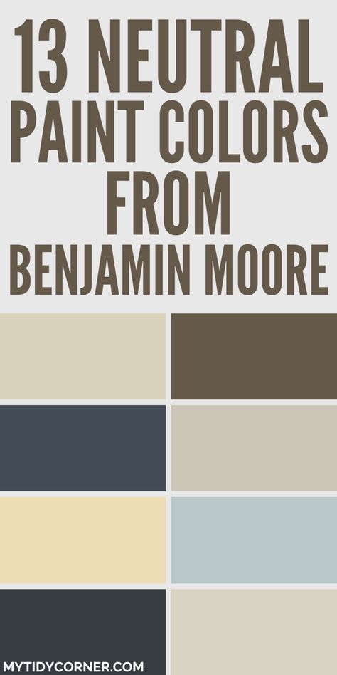 Collage of the top neutral paint colors by Benjamin Moore. Benjamin Moore Paint Colors Greige, Stampede Benjamin Moore Paint, Timson Sand Benjamin Moore, Top Benjamin Moore Paint Colors 2024, Trending Neutral Paint Colors, Popular Interior Paint Colors 2024, Popular Paint Colors For Living Room, Benjamin Moore Paint Colors 2024, Benjamin Moore Neutral Paint Colors