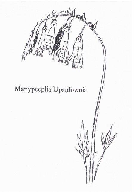 'Manypeeplia Upsidownia' by Edward Lear (V048) * Angie Lewin, Edward Lear, Art Greeting Cards, Punk Design, Childrens Drawings, Hair Tattoos, Writing Art, Art Cards, Blank Card