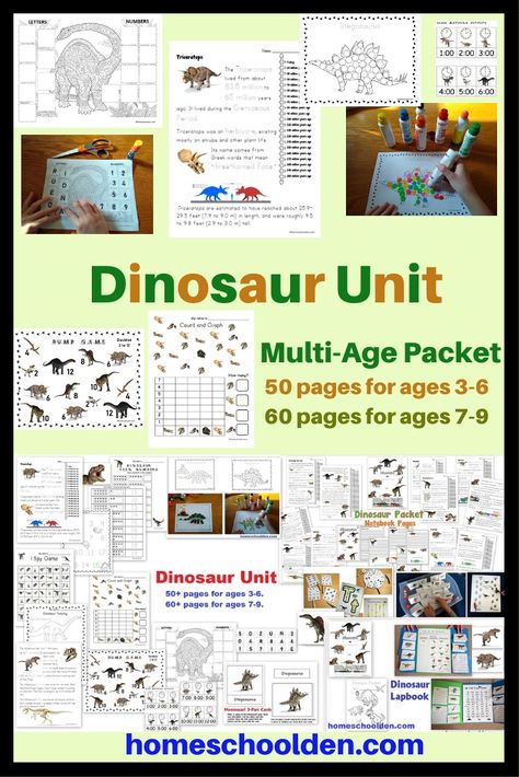 Dinosaur 1st Grade Activities, Dinosaur Unit Study First Grade, Dinosaur Lapbook, Dinosaur Tracing, Dinosaurs Kindergarten, Dinosaur Unit Study, Multiplication Cards, Number Recognition Activities, Dinosaur Activities Preschool