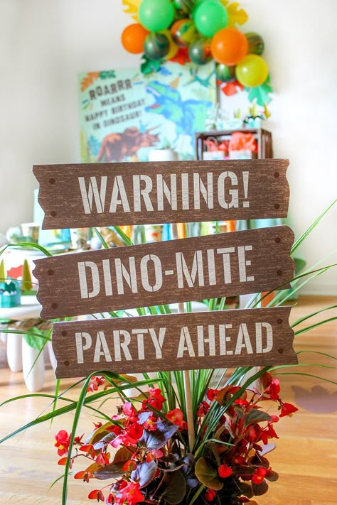 Dino Dig, Dinosaur Birthday Theme, Dinosaur Party Ideas, Dinosaur Birthday Party Decorations, Party Dinosaur, Dinosaur Themed Birthday Party, Dino Birthday Party, Dinosaur First Birthday, Dinosaur Theme Party