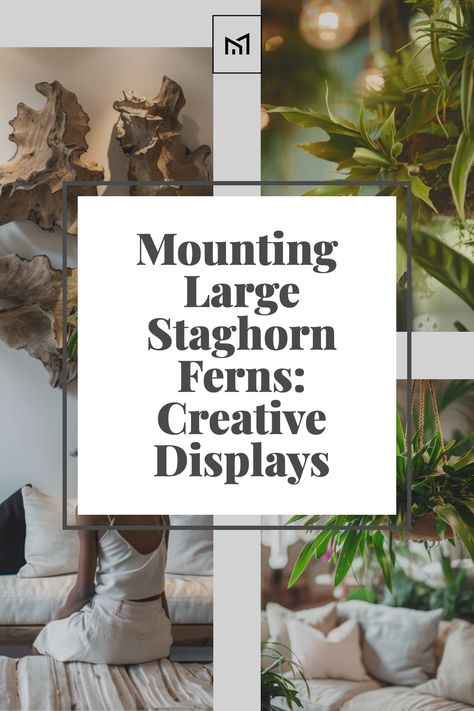 Showcase your large staghorn ferns with imaginative mounting techniques. Explore options like hanging them on wooden boards, mounting them on driftwood, or displaying them in decorative baskets or planters for a unique and eye-catching presentation. Staghorn Fern Hanging Ideas, Elkhorn Fern Mount Ideas, Mounting Staghorn Fern Diy, Stag Horn Fern Mount Ideas, Staghorn Fern Mount Ideas, Fern Planters Ideas, Creative Display Ideas, Staghorn Fern Mount, Elkhorn Fern