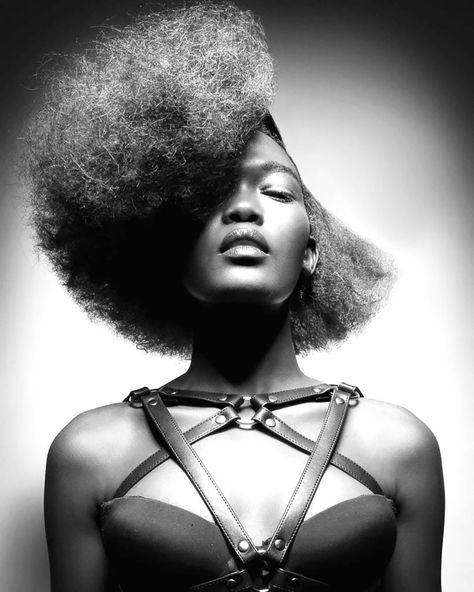 Female Afro Hairstyles, Afro Hair Shapes, Afro Hair Photoshoot, Shaped Afro, Afro Shapes, Editorial Hairstyle, Texture Hairstyles, Hair Sculpting, Hair Campaign