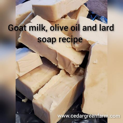 Goat Milk, Lard, Coconut and Olive Oil Soap Recipe – Cedar Green Farm Coconut Soap Recipe, Olive Oil Soap Recipe, Coconut Oil Soap Recipe, Lye Soap Recipe, Lard Recipe, Lard Soap, Goat Milk Soap Recipe, Milk Soap Recipe, Homemade Goat Milk Soap