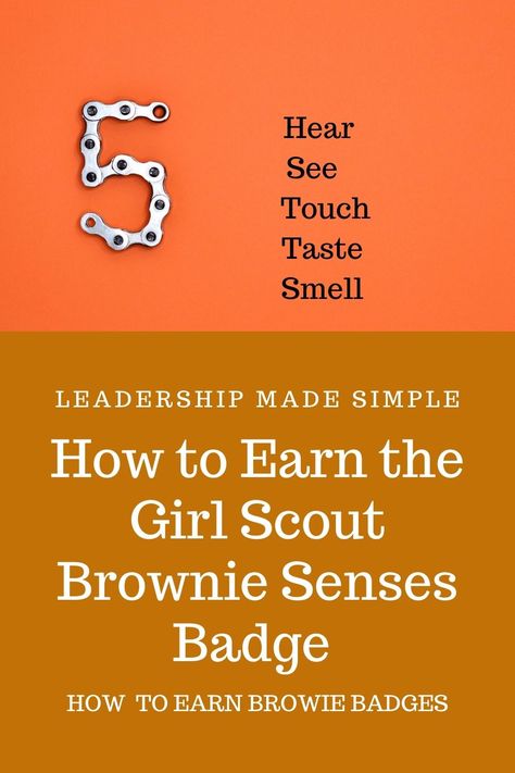 Brownie Meeting Ideas, Brownie Activities, Girl Scout Brownies Meetings, Girl Scout Levels, Girl Scout Brownie Badges, Daisy Activities, Brownies Activities, Girl Scout Daisy Activities, Our Five Senses