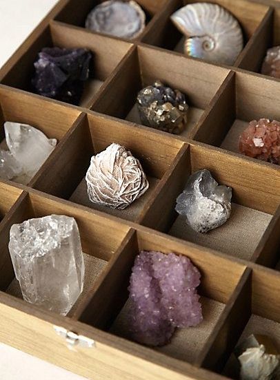 Rocks. Pretty Rocks, Crystal Magic, Rock Collection, Mineral Stone, Minerals And Gemstones, Rocks And Gems, Crystal Collection, Gems And Minerals, Stone Rocks