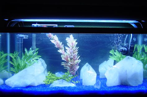 Crystal Aquascape, Fish Tank Crystals, Fish Tank With Crystals, Salamander Tank, Crystal Fish Tank, Crystal Aquarium, Beta Tank, Cool Fish Tank Decorations, Pet Enclosures