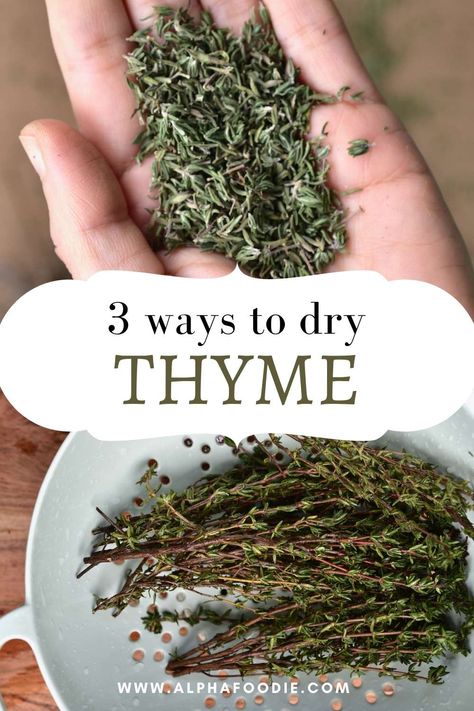 Drying Thyme, Preserve Fresh Herbs, Drying Fresh Herbs, Preserving Herbs, Harvesting Herbs, Dried Thyme, Dried Lemon, Herb Recipes, Homemade Spices