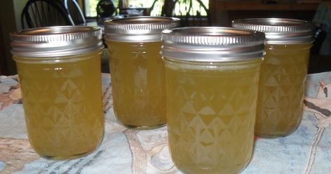 Cucumber Jelly, Corn Cob Jelly, Making Pickles, How To Make Pickles, Canning Jam, Pickle Chips, Ham Salad, Ham And Beans, Corn Cob