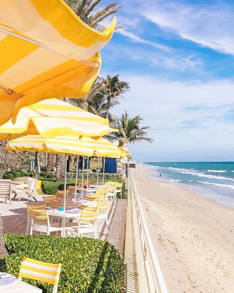 Eau Palm Beach Resort, Beach Resort Aesthetic, Palm Beach Bachelorette, Ocean Kitchen, Palm Beach Restaurants, Palm Springs Decor, Palm Beach Resort, Beach Restaurant, Beach Luxury