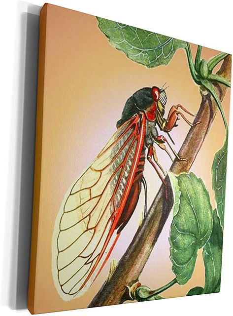 Cicada Painting, Cicada Art, Winged Insects, Animal Ideas, Bio Art, Painting Party, Insect Art, Summer Camps, 3d Painting